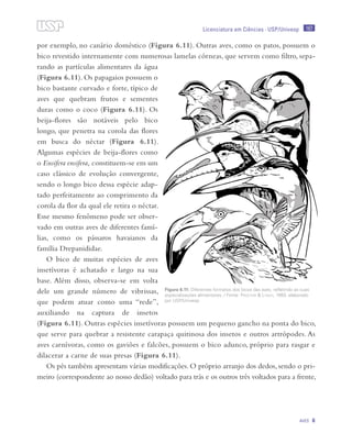 167
Aves 6
Licenciatura em Ciências · USP/Univesp
por exemplo, no canário doméstico (Figura 6.11). Outras aves, como os patos, possuem o
bico revestido internamente com numerosas lamelas córneas, que servem como filtro, sepa-
rando as partículas alimentares da água
(Figura 6.11). Os papagaios possuem o
bico bastante curvado e forte, típico de
aves que quebram frutos e sementes
duras como o coco (Figura 6.11). Os
beija-flores são notáveis pelo bico
longo, que penetra na corola das flores
em busca do néctar (Figura 6.11).
Algumas espécies de beija-flores como
o Ensifera ensifera, constituem-se em um
caso clássico de evolução convergente,
sendo o longo bico dessa espécie adap-
tado perfeitamente ao comprimento da
corola da flor da qual ele retira o néctar.
Esse mesmo fenômeno pode ser obser-
vado em outras aves de diferentes famí-
lias, como os pássaros havaianos da
família Drepanididae.
O bico de muitas espécies de aves
insetívoras é achatado e largo na sua
base. Além disso, observa-se em volta
dele um grande número de vibrissas,
que podem atuar como uma “rede”,
auxiliando na captura de insetos
(Figura 6.11). Outras espécies insetívoras possuem um pequeno gancho na ponta do bico,
que serve para quebrar a resistente carapaça quitinosa dos insetos e outros artrópodes. As
aves carnívoras, como os gaviões e falcões, possuem o bico adunco, próprio para rasgar e
dilacerar a carne de suas presas (Figura 6.11).
Os pés também apresentam várias modificações. O próprio arranjo dos dedos, sendo o pri-
meiro (correspondente ao nosso dedão) voltado para trás e os outros três voltados para a frente,
Figura 6.11: Diferentes formatos dos bicos das aves, refletindo as suas
especializações alimentares. / Fonte: Proctor & Lynch, 1993; elaborado
por USP/Univesp
 