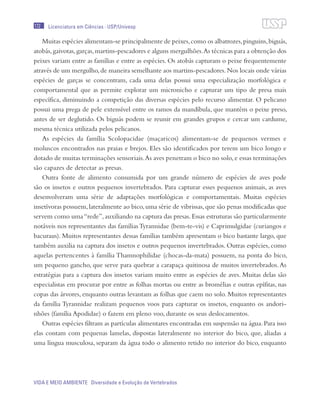 172
VIDA E MEIO AMBIENTE Diversidade e Evolução de Vertebrados
Licenciatura em Ciências · USP/Univesp
Muitas espécies alimentam-se principalmente de peixes,como os albatrozes,pinguins,biguás,
atobás,gaivotas,garças,martins-pescadores e alguns mergulhões.As técnicas para a obtenção dos
peixes variam entre as famílias e entre as espécies. Os atobás capturam o peixe frequentemente
através de um mergulho,de maneira semelhante aos martins-pescadores.Nos locais onde várias
espécies de garças se concentram, cada uma delas possui uma especialização morfológica e
comportamental que as permite explorar um micronicho e capturar um tipo de presa mais
específica, diminuindo a competição das diversas espécies pelo recurso alimentar. O pelicano
possui uma prega de pele extensível entre os ramos da mandíbula, que mantêm o peixe preso,
antes de ser deglutido. Os biguás podem se reunir em grandes grupos e cercar um cardume,
mesma técnica utilizada pelos pelicanos.
As espécies da família Scolopacidae (maçaricos) alimentam-se de pequenos vermes e
moluscos encontrados nas praias e brejos. Eles são identificados por terem um bico longo e
dotado de muitas terminações sensoriais.As aves penetram o bico no solo,e essas terminações
são capazes de detectar as presas.
Outra fonte de alimento consumida por um grande número de espécies de aves pode
são os insetos e outros pequenos invertebrados. Para capturar esses pequenos animais, as aves
desenvolveram uma série de adaptações morfológicas e comportamentais. Muitas espécies
insetívoras possuem,lateralmente ao bico,uma série de vibrissas,que são penas modificadas que
servem como uma“rede”,auxiliando na captura das presas.Essas estruturas são particularmente
notáveis nos representantes das famílias Tyrannidae (bem-te-vis) e Caprimulgidae (curiangos e
bacuraus). Muitos representantes dessas famílias também apresentam o bico bastante largo, que
também auxilia na captura dos insetos e outros pequenos invertebrados. Outras espécies, como
aquelas pertencentes à família Thamnophilidae (chocas-da-mata) possuem, na ponta do bico,
um pequeno gancho, que serve para quebrar a carapaça quitinosa de muitos invertebrados.As
estratégias para a captura dos insetos variam muito entre as espécies de aves. Muitas delas são
especialistas em procurar por entre as folhas mortas ou entre as bromélias e outras epífitas, nas
copas das árvores, enquanto outras levantam as folhas que caem no solo. Muitos representantes
da família Tyrannidae realizam pequenos voos para capturar os insetos, enquanto os andori-
nhões (família Apodidae) o fazem em pleno voo, durante os seus deslocamentos.
Outras espécies filtram as partículas alimentares encontradas em suspensão na água. Para isso
elas contam com pequenas lamelas, dispostas lateralmente no interior do bico, que, aliadas a
uma língua musculosa, separam da água todo o alimento retido no interior do bico, enquanto
 