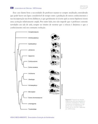 158
VIDA E MEIO AMBIENTE Diversidade e Evolução de Vertebrados
Licenciatura em Ciências · USP/Univesp
Esse caso ilustra bem a necessidade do professor manter-se sempre atualizado, entendendo
que pode haver um lapso considerável de tempo entre a produção de novos conhecimentos e
sua incorporação nos livros didáticos,o que geralmente só ocorre após as novas hipóteses terem
uma aceitação relativamente ampla. Por outro lado, isso não impede que o professor comente
novidades em sala de aula, sempre no intuito de mostrar que a ciência é dinâmica e que o
conhecimento está em constante evolução.
Figura 6.1: Proposta de relações
filogenéticas das aves baseada em
caracteres osteológicos. Observar
a posição de Archaeopteryx e das
demais aves, no clado Avialae. /
Fonte: Nature 475, 2011; elaborado
por USP/Univesp
 