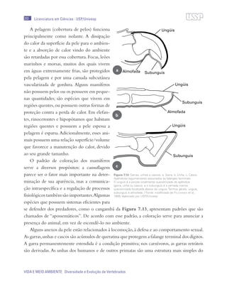 200
VIDA E MEIO AMBIENTE Diversidade e Evolução de Vertebrados
Licenciatura em Ciências · USP/Univesp
A pelagem (cobertura de pelos) funciona
principalmente como isolante. A dissipação
do calor da superfície da pele para o ambien-
te e a absorção de calor vindo do ambiente
são retardadas por essa cobertura. Focas, leões
marinhos e morsas, muitos dos quais vivem
em águas extremamente frias, são protegidos
pela pelagem e por uma camada subcutânea
vascularizada de gordura. Alguns mamíferos
não possuem pelos ou os possuem em peque-
nas quantidades; são espécies que vivem em
regiões quentes,ou possuem outras formas de
proteção contra a perda de calor. Em elefan-
tes, rinocerontes e hipopótamos que habitam
regiões quentes e possuem a pele espessa a
pelagem é esparsa.Adicionalmente, esses ani-
mais possuem uma relação superfície/volume
que favorece a manutenção do calor, devido
ao seu grande tamanho.
O padrão de coloração dos mamíferos
serve a diversos propósitos: a camuflagem
parece ser o fator mais importante na deter-
minação de sua aparência, mas a comunica-
ção intraespecífica e a regulação de processos
fisiológicos também são importantes.Algumas
espécies que possuem sistemas eficientes para
se defender dos predadores, como o cangambá da Figura 7.13, apresentam padrões que são
chamados de “apossemáticos”. De acordo com esse padrão, a coloração serve para anunciar a
presença do animal, em vez de escondê-lo no ambiente.
Alguns anexos da pele estão relacionados à locomoção,à defesa e ao comportamento sexual.
As garras,unhas e cascos são acúmulos de queratina que protegem a falange terminal dos dígitos.
A garra permanentemente estendida é a condição primitiva; nos carnívoros, as garras retráteis
são derivadas.As unhas dos humanos e de outros primatas são uma estrutura mais simples do
Figura 7.13: Garras, unhas e cascos. a. Garra; b. Unha; c. Casco.
Apêndices tegumentares associados às falanges terminais.
O unguis é a porção totalmente queratinizada do apêndice
(garra, unha ou casco), e o subunguis é a camada menos
queratinizada localizada abaixo do unguis. Termos gerais: unguis,
subunguis e almofada. / Fonte: modificado de Feldhamer et al.,
1999; elaborado por USP/Univesp
a
b
c
 
