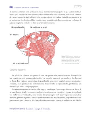 206
VIDA E MEIO AMBIENTE Diversidade e Evolução de Vertebrados
Licenciatura em Ciências · USP/Univesp
de expressões faciais neles (pela ausência de musculatura facial), que é o que usamos normal-
mente para estabelecer uma conexão com o estado emocional de outros indivíduos. Esta falta
de conhecimento biológico básico sobre outros animais está na base da indiferença em relação
ao sofrimento de répteis, anfíbios e peixes, que, na prática, são lamentavelmente excluídos de
ações e programas voltados ao bem-estar dos não humanos.
Sistema digestivo
As glândulas salivares (sinapomorfia dos tetrápodes) são particularmente desenvolvidas
nos mamíferos, pois a mastigação implica em um alto tempo de permanência do alimento
na boca. Em espécies termitófagas (especializadas em comer cupins), como tamanduás e
equidnas, essas glândulas são extremamente desenvolvidas e especializadas, produzindo um
material que torna a língua pegajosa.
O esôfago apresenta-se como um tubo longo e o estômago é um compartimento em forma de
saco,geralmente simples em grupos carnívoros ou onívoros,mas complexo e compartimentalizado
nos herbívoros especializados, com câmaras de fermentação, onde microorganismos mutualistas
(bactérias,protistas) digerem a celulose (nenhum metazoário produz celulase),disponibilizando seus
componentes para a absorção pelo hospedeiro. Fermentadores estomacais incluem os artiodáctilos
Figura 7.18: Músculos faciais de um
roedor; esses músculos controlam
praticamente todas as expressões
faciais e movimento das vibrissas. /
Fonte: modificado de Vaughan, et al.
2011; elaborado por USP/Univesp
 