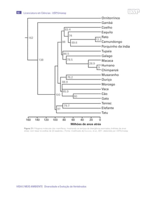 190
VIDA E MEIO AMBIENTE Diversidade e Evolução de Vertebrados
Licenciatura em Ciências · USP/Univesp
Figura 7.1: Filogenia molecular dos mamíferos, mostrando os tempos de divergência estimados (milhões de anos
atrás), com base na análise de 22 espécies. / Fonte: modificado de Vaughan, et al., 2011; elaborado por USP/Univesp
índia
 
