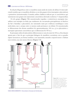 196
VIDA E MEIO AMBIENTE Diversidade e Evolução de Vertebrados
Licenciatura em Ciências · USP/Univesp
As relações filogenéticas entre os mamíferos atuais ainda são motivo de debate.A visão tradi-
cional considera que os mamíferos dividem-se em dois grupos:térios (marsupiais e placentários)
e prototérios (monotremados). Contudo, análises cladísticas indicam que as características que
sustentavam esses grupos não representam características derivadas exclusivas (= sinapomorfias).
Os três grupos (Figura 7.8), monotremados (equidna e ornitorrinco), marsupiais (ma-
míferos com marsúpio ou bolsa, que atualmente são encontrados principalmente na América
do Sul e Austrália) e placentários, são sustentados tanto por evidências morfológicas como
moleculares, mas o arranjo entre os mesmos ainda permanece em debate. Os monotremados
se diferenciaram dos demais mamíferos há, aproximadamente, 160 m.a., já os placentários e
marsupiais apresentam características que os diferenciam há 150 m.a.
As principais ordens de placentários diferenciaram-se uma da outra há 100 m.a.Esta datação
aponta para o fato de que as principais linhagens de mamíferos coexistiram com os grandes
répteis mesozoicos, em formas similares a um musaranho, tamanho corporal menor e habitats
mais restritos, mas não menos diversos (Figura 7.8).
Figura 7.8: Principais linhagens
amniotas. Em vermelho, os
Synapsida e os principais even-
tos que deram origem a sua
diversidade e as características
que definem seus principais
grupos. / Fonte: modificado de
Warren et al., 2008; elaborado
por USP/Univesp
 