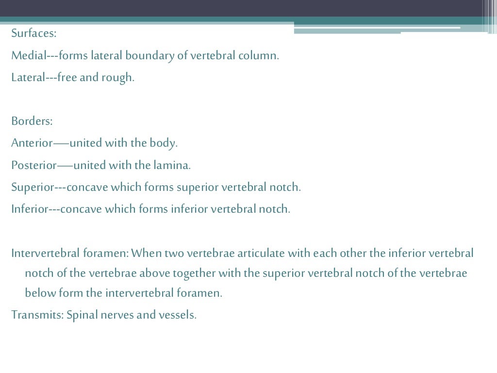 Anatomy of Vertebral Column