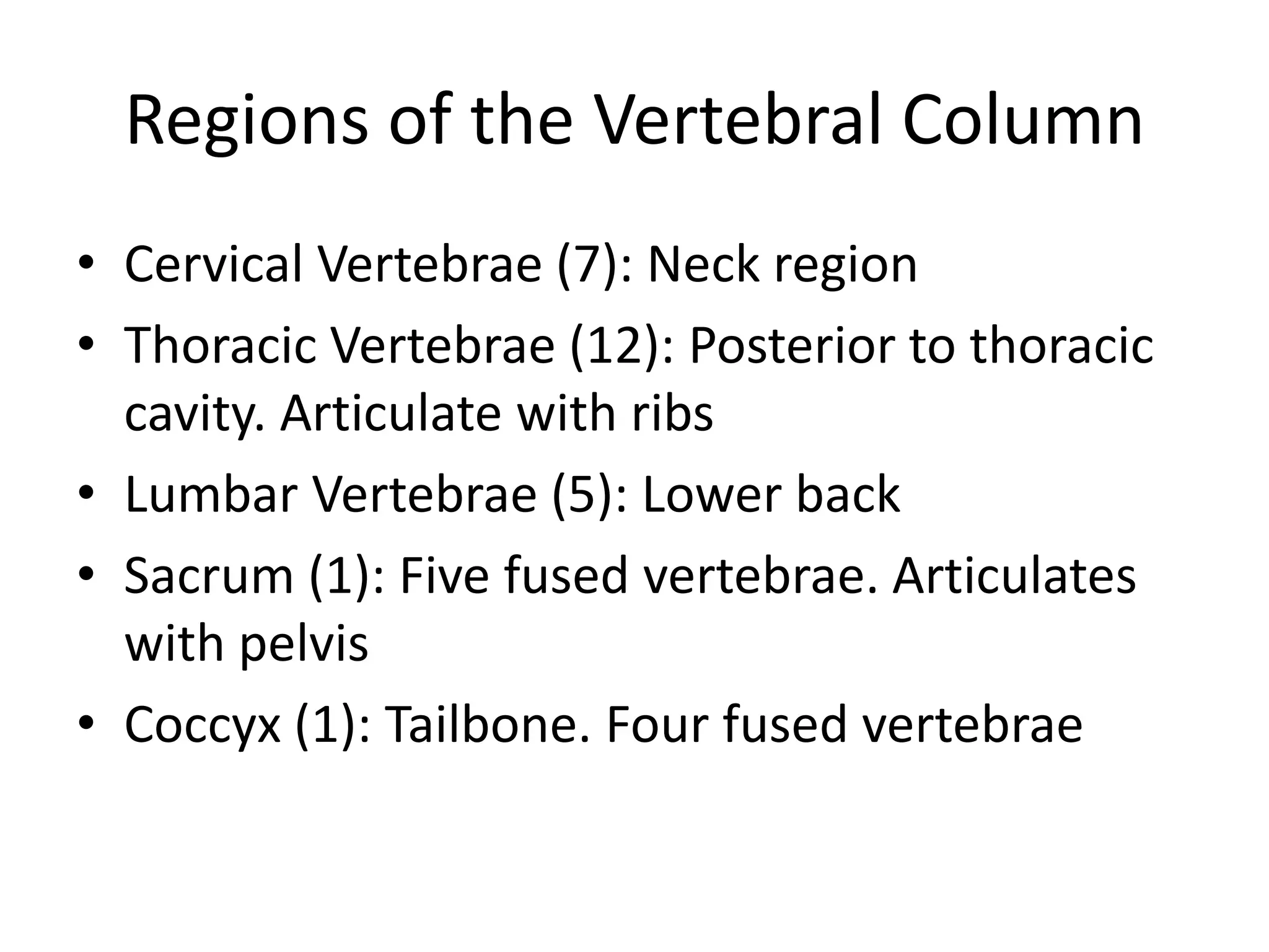 Vertebrae and ribs | PPTX