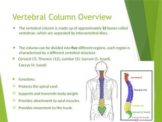 Vertebral Column_Lecture_and Bone Structure | PPTX
