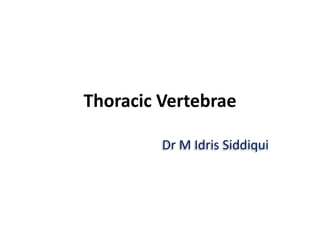 Thoracic Vertebrae
Dr M Idris Siddiqui
 