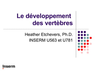 Le développement  des vertèbres Heather Etchevers, Ph.D. INSERM U563 et U781 