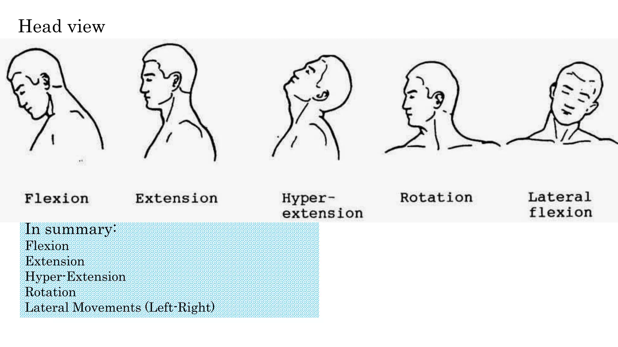 Head view
In summary:
Flexion
Extension
Hyper-Extension
Rotation
Lateral Movements (Left-Right)
 