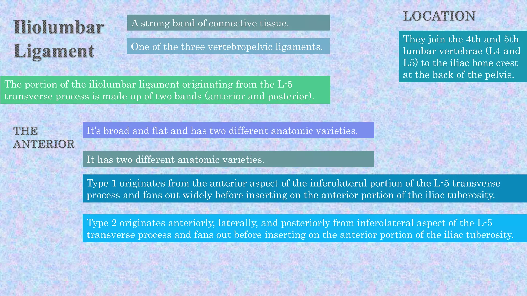 A strong band of connective tissue.
One of the three vertebropelvic ligaments.
They join the 4th and 5th
lumbar vertebrae (L4 and
L5) to the iliac bone crest
at the back of the pelvis.
The portion of the iliolumbar ligament originating from the L-5
transverse process is made up of two bands (anterior and posterior).
It’s broad and flat and has two different anatomic varieties.
It has two different anatomic varieties.
Type 1 originates from the anterior aspect of the inferolateral portion of the L-5 transverse
process and fans out widely before inserting on the anterior portion of the iliac tuberosity.
Type 2 originates anteriorly, laterally, and posteriorly from inferolateral aspect of the L-5
transverse process and fans out before inserting on the anterior portion of the iliac tuberosity.
 