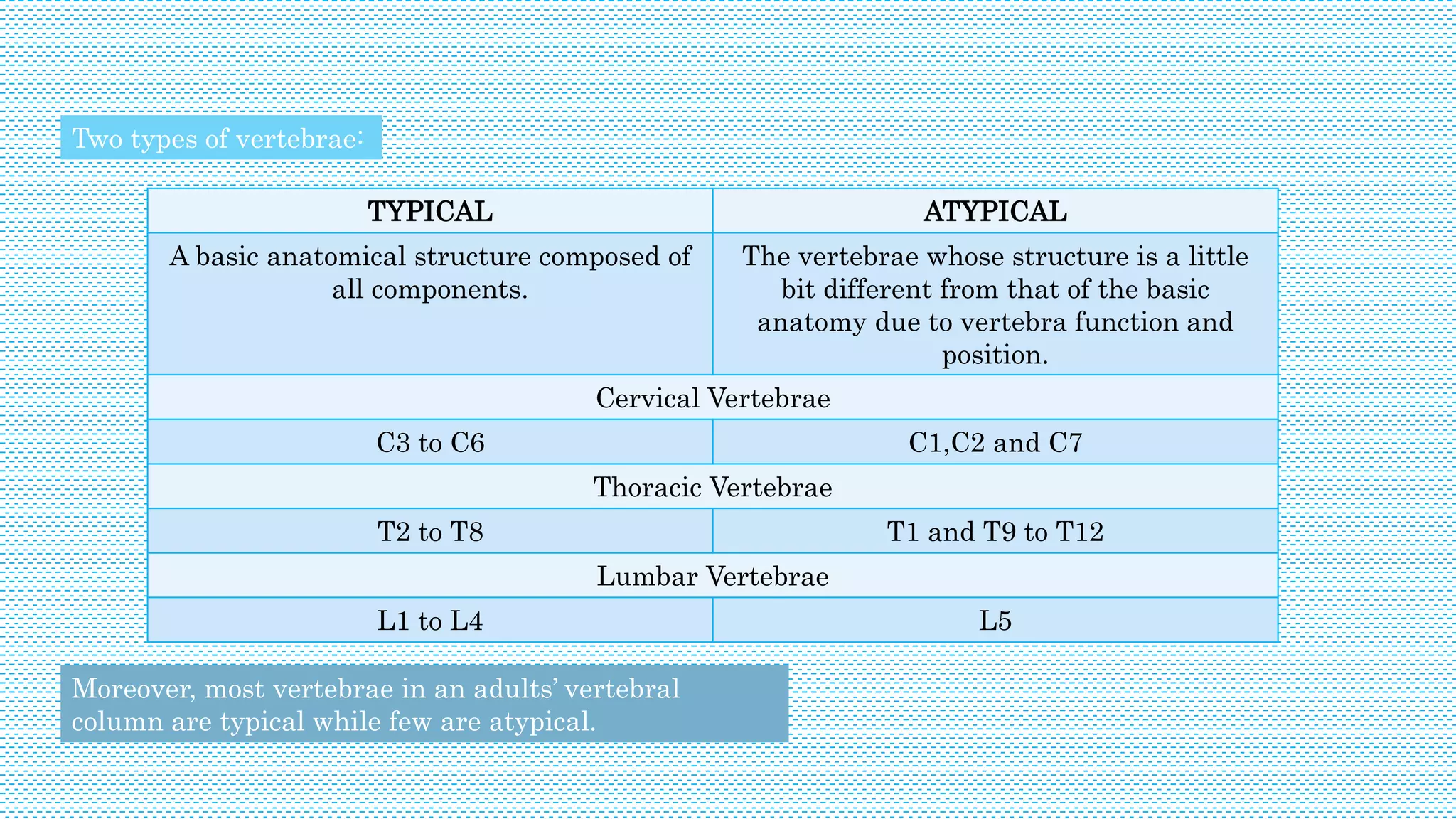 Two types of vertebrae:
TYPICAL ATYPICAL
A basic anatomical structure composed of
all components.
The vertebrae whose structure is a little
bit different from that of the basic
anatomy due to vertebra function and
position.
Cervical Vertebrae
C3 to C6 C1,C2 and C7
Thoracic Vertebrae
T2 to T8 T1 and T9 to T12
Lumbar Vertebrae
L1 to L4 L5
Moreover, most vertebrae in an adults’ vertebral
column are typical while few are atypical.
 