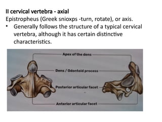 Vertebral column -.pptx what are tthe parts are present | PPTX