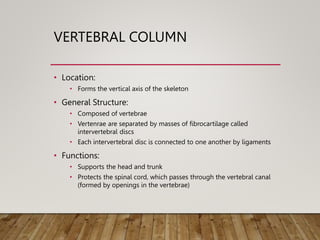 VERTEBRAL COLUMN
• Location:
• Forms the vertical axis of the skeleton
• General Structure:
• Composed of vertebrae
• Vertenrae are separated by masses of fibrocartilage called
intervertebral discs
• Each intervertebral disc is connected to one another by ligaments
• Functions:
• Supports the head and trunk
• Protects the spinal cord, which passes through the vertebral canal
(formed by openings in the vertebrae)
 