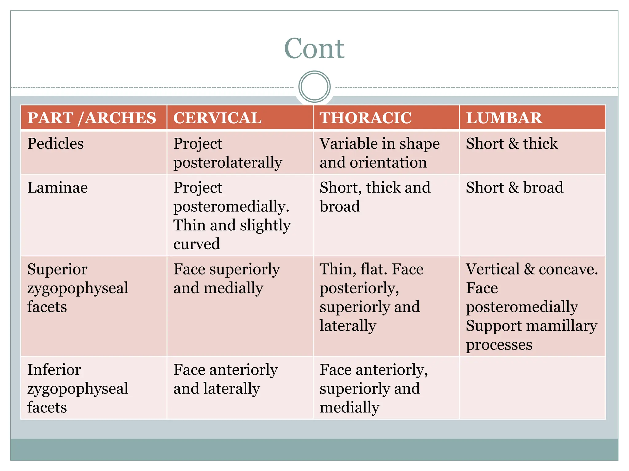 Vertebral column... and Biomechanics.pptx