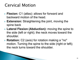 Vertebral Column Anatomy and Embryology At a glance | PPT