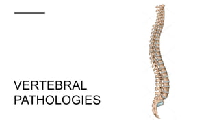 Vertebral Pathologies Vertebral column associated pathology and radiographic appearance | PPTX