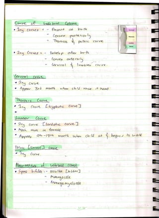 Vertebral Column Lecture