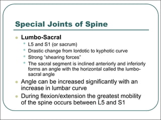 Comprehensive Vertebral Column Anatomy, MDIRT Nchanji Nkeh Keneth | PDF