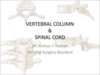VERTEBRAL COLUMN
&
SPINAL CORD
Dr. Joshua J. Tadayo
General Surgery Resident
 