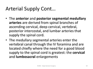 Arterial Supply Cont…
• The anterior and posterior segmental medullary
arteries are derived from spinal branches of
ascending cervical, deep cervical, vertebral,
posterior intercostal, and lumbar arteries that
supply the spinal cord.
• The medullary segmental arteries enter the
vertebral canal through the IV foramina and are
located chiefly where the need for a good blood
supply to the spinal cord is greatest: the cervical
and lumbosacral enlargements
19
KCMC - Dept General Surgery
 