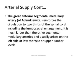 Arterial Supply Cont…
• The great anterior segmental medullary
artery (of Adamkiewicz) reinforces the
circulation to two thirds of the spinal cord,
including the lumbosacral enlargement. It is
much larger than the other segmental
medullary arteries and usually arises on the
left side at low thoracic or upper lumbar
levels.
20
KCMC - Dept General Surgery
 