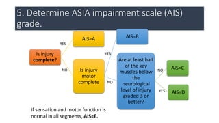 Vertebral Fracture and Spinal Cord Injury.pptx