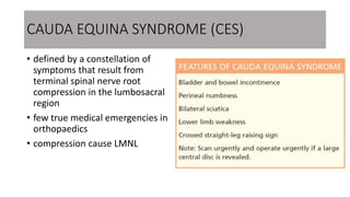 Vertebral Fracture and Spinal Cord Injury.pptx