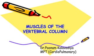 MUSCLES OF THE
VERTEBRAL COLUMN
Dr.Poonam Kalavadiya
MPT (CardioPulmonary)
 