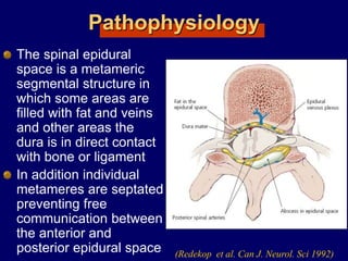 Pathophysiology
The spinal epidural
space is a metameric
segmental structure in
which some areas are
filled with fat and veins
and other areas the
dura is in direct contact
with bone or ligament
In addition individual
metameres are septated
preventing free
communication between
the anterior and
posterior epidural space (Redekop et al. Can J. Neurol. Sci 1992)
 