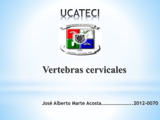 Vertebras cervicales 
José Alberto Marte Acosta……………………..2012-0070 
 