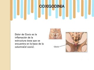 Dolor de Coxis es la
inflamación de la
estructura ósea que se
encuentra en la base de la
columna(el coxis).
COXIGODINIA
 