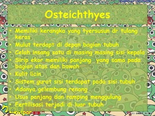 Jantung beruang 2 sampai 4