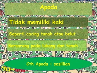Superkelas agnathaCiri ciri :Berbadan panjangRamping seperti belutCth hewan:superkelas agnatha adalah Lamprey  dan Hagfish