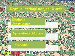 Chondrichthyes Kerangka tersusun dari tulang rawanMulut yang berahang kuat terlwetak di bawah tubuhCelah insang berjumlah 5Kulit ulet dan kasar bergerigi karena adanya sisik gelakoidSepadang pendekap pada jantanHati berukuran sangat besarFertilisasi secara internalovipar