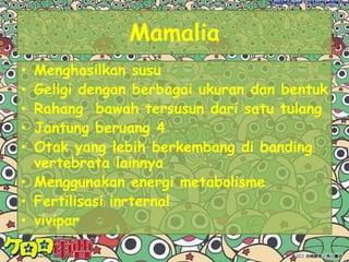 UrodelaMemiliki  ekor saat  larva, muda ,maupun dewasaTubuhnya berbentuk silinder memanjangKaki depan ukurannya sama dengan kaki belakangBaik larva maupun dewasa merupakan  karnivoraCth urodela  : jenis salamander