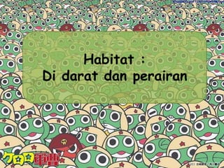 Apoda Tidak memiliki kakiSeperti cacing tanah atau belutBersarang pada lubang dan tanahCth Apoda : sesillian