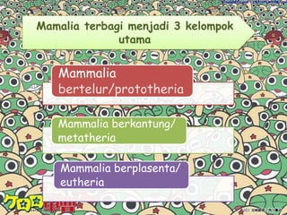 Reptilia Bahasa latin (Reptil = melata)Memiliki kulit  bersisik terbuat dari zat tanduk (keratin)Berjari limaBernapas dengan paru paruJantung beruang tiga dan empat Hewan ektotermFertilisasi secara internalovipar