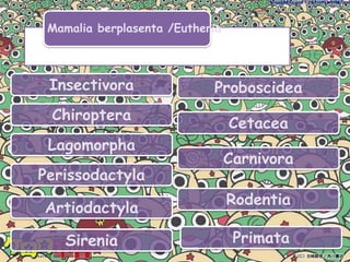 Habitat : Darat dan perairanBagi yang hidup di perairan biasanya memakan Ikan ,tumb laut,ubur ubur,dan kepiting