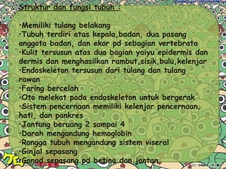Struktur dan fungsi tubuh :Memiliki tulang belakang