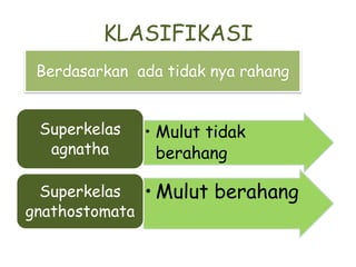 Kulit tersusun atas dua bagian yaiyu epidermis dan dermis dan menghasilkan rambut,sisik,bulu,kelenjar