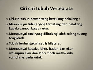 Ciri ciri tubuh Vertebrata
Ciri-ciri tubuh hewan yang bertulang belakang :
Mempunyai tulang yang terentang dari balakang
kepala sampai bagian ekor.
Mempunyai otak yang dilindungi oleh tulang-tulang
tengkorak.
Tubuh berbentuk simetris bilateral.
Mempunyai kepala, leher, badan dan ekor
walaupun ekor dan leher tidak mutlak ada
contohnya pada katak.
 