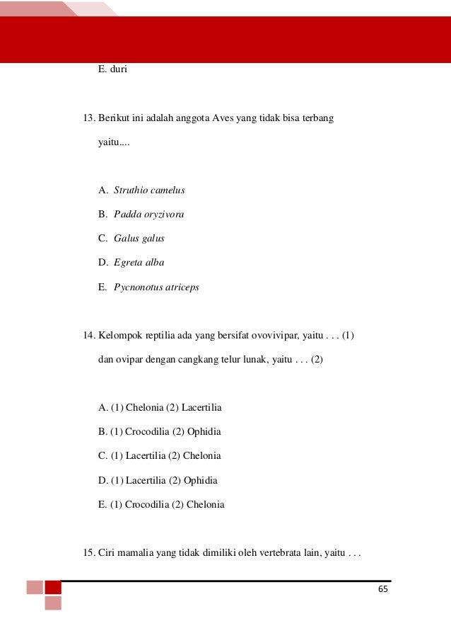 Buku Vertebrata Buku Vertebrata