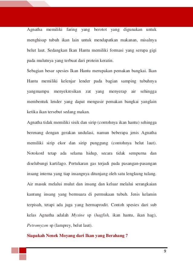 Buku Vertebrata Buku Vertebrata