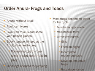 Brief Details of Vertebrata class 9 | PDF