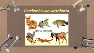 Gambar hewan vertebrata
e you introduce yours
 