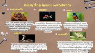 Klasifikasi hewan vertebrata
pisces
Tempat hidup ikan dapat dibedakan
antara di air tawar, payau, dan air laut.
Ikan bernapas dengan insang dan
bergerak dengan menggunakan sirip
serta ekor.
mammalia
Pada kulit mamalia, terdapat kelenjar
keringat dan kelenjar minyak. Mamalia
bernapas dengan paru-paru dan
mempunyai diafragma untuk
membantunya bernapas.
amphibi
Katak bergerak menggunakan dua pasang kaki
yang memiliki selaput lendir untuk berenang.
Kulit katak selalu dalam keadaan basah karena
mengandung pembuluh darah yang dapat
membantu berdifusi melalui kulit.
reptil
Reptil bergerak menggunakan perut atau kaki
serta bernafas menggunakan paru-paru. Reptil
memiliki kulit keras, kering, dan bersisik yang
terbuat dari zat keratin.
aves
Burung memiliki darah panas.
Pembuahan terjadi di dalam tubuh
sang induk dan berkembangbiak
dengan bertelur.
 