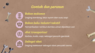 Contoh dan peranan
Bahan baku industri tekstil
Pemanfaatan rambut domba untuk dijadikan wol
Bahan makanan
Daging kambing, telur ayam dan susu sapi
Sebagai obat
Daging kelelawar sebagai obat penyakit asma
Alat transportasi
Kerbau, kuda, sapi, sebagai penarik gerobak
 