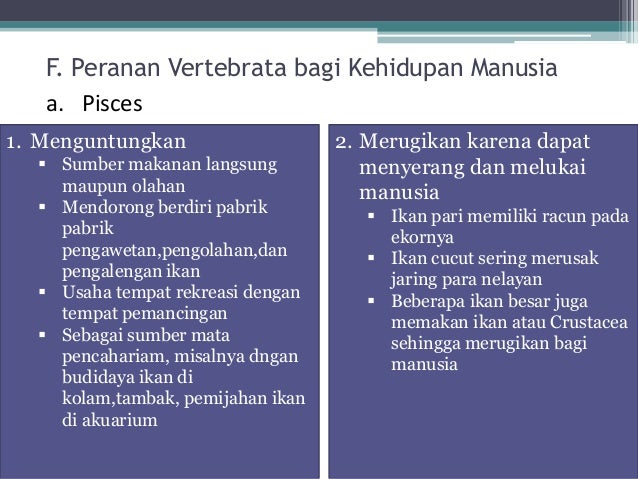 Makhluk Hidup Vertebrata Hewan Bertulang Belakang Makhluk Hidup Vertebrata Hewan Bertulang Belakang