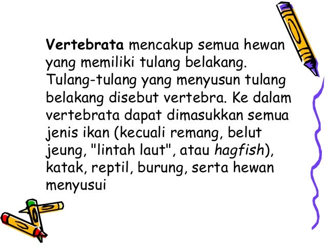  Vertebrata  hewan  bertulang belakang  