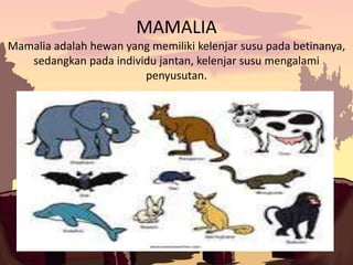 Kingdom Animalia (Vertebrata)
